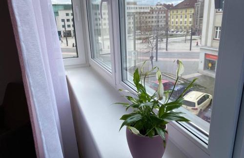 Hradec Kralove Apartment | Perla Hradce 302