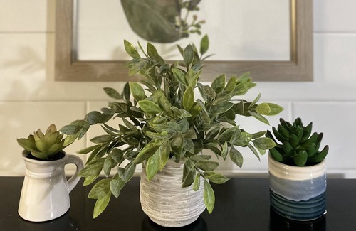 Ashford Cottage | Pet Friendly Cozy Cottage 1/2 Mile from Mt. Rainier