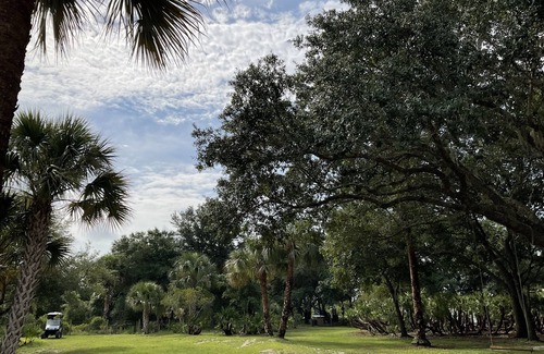 Okeechobee Cottage | Pet friendly, fenced acres, oak hammock, and lake. Star gazing. Peaceful.