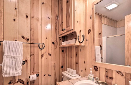 Georgetown Apartment | Pet-Friendly Georgetown Studio w/ Chiminea!