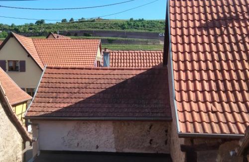 Obernai House | Petit nied Cosy au Calme