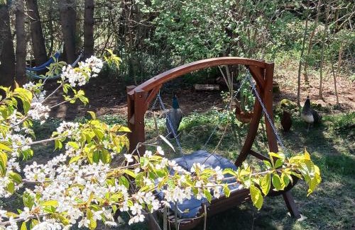 Laussonne Apartment | Petit studio isolé en pleine forêt, bain norvégien et sauna