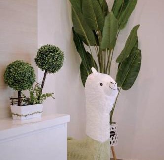 Pulau Gedong Villa | Pillow Cottage Semi-D Home Stay Town Malacca (18pax)