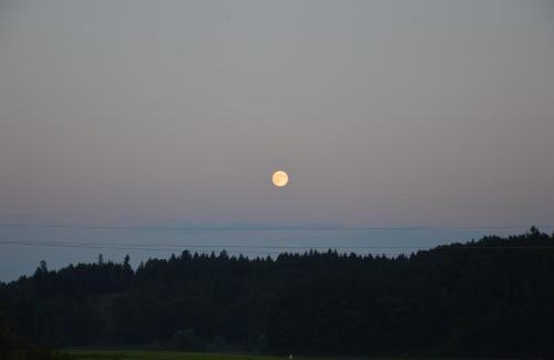 Franking House | Pimperlhof