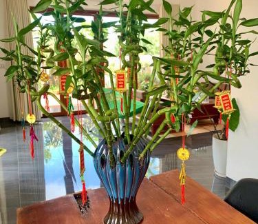 Bao Loc Apartment | Pin's House