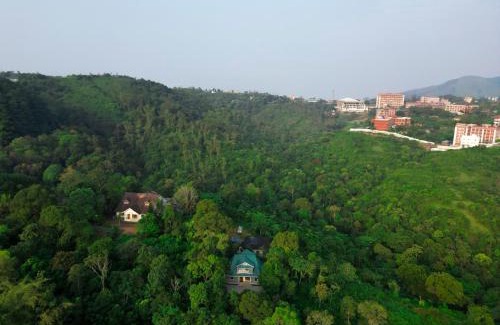 Peermade Villa | Pine Escape By Cluster Cloud