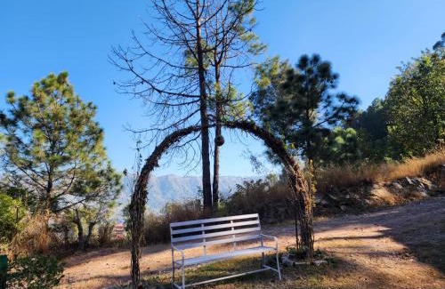 Kuthar Other | Pine Valley Resort