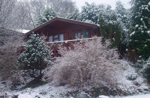 Pontyclun Cabin | PINETREE LODGE, LLWYNAU FARM, LLANTRISANT 12 MILES FROM CARDIFF. CF72 8LP. RCT