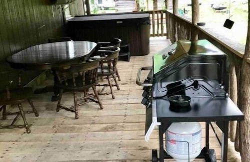 Elkins Cabin | Pioneer cabin in Bowden, Canaan Valley sleeps 8