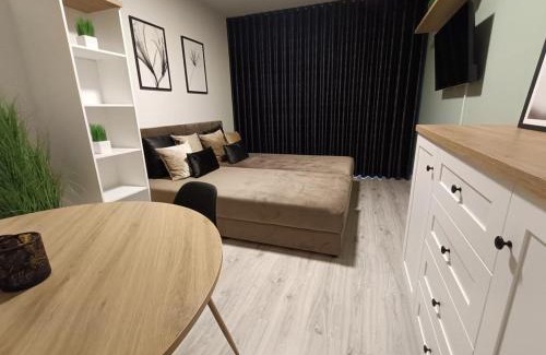 Piotrkow Trybunalski Apartment | Piotrków Trybunalski Comfort Apartment by BookingHost