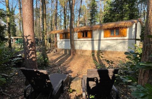 Lanaken House | Pipowagen de Zwaan in Hoge Kempen nabij Maastricht