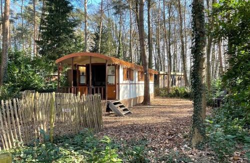 Lanaken House | Pipowagen de Zwaan in Hoge Kempen nabij Maastricht