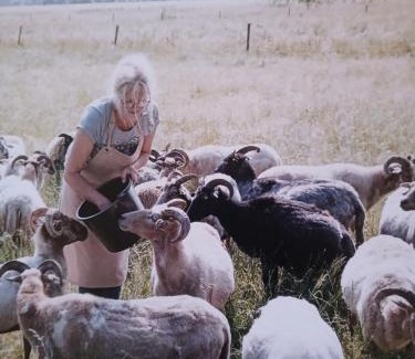 Onstwedde Bed & Breakfast | Pipowagen Elsebein Groningen Westerwolde unieke ligging met eigen tuin en vrij uitzicht over veld naar natuurgebied