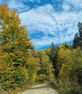 Siculeni Villa | Piricske Pihenőház