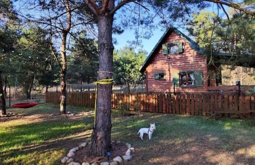 gmina Joniec House | Pożarowo domek na mazowszu