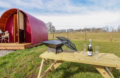 Saint Asaph House | Pod 1