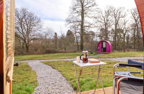 Saint Asaph House | Pod 1