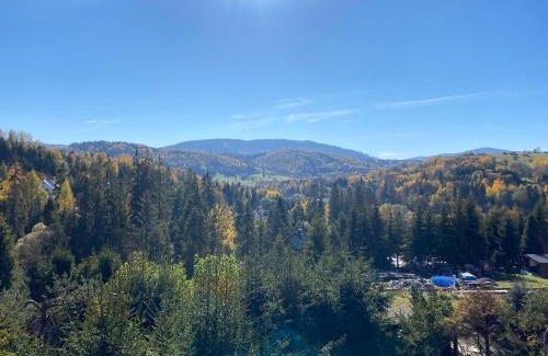 Rycerka Dolna House | Pod Smrekami