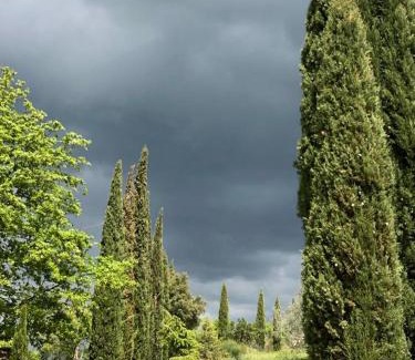 Castelnuovo Berardenga House | Podere Campovecchio