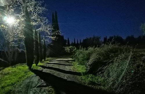 Castelnuovo Berardenga House | Podere Campovecchio