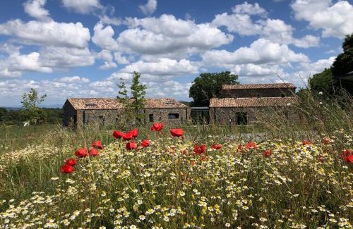 Castel Giorgio Bed & Breakfast | Podere l'Alfina B&B - Bio Agriturismo