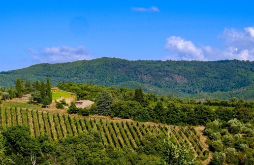 Radda in Chianti House | Podere Pruneto