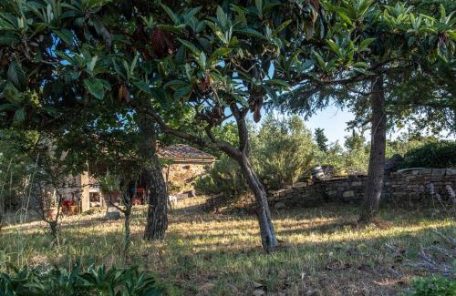 Radda in Chianti House | Podere Pruneto