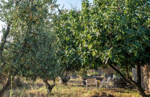 Radda in Chianti House | Podere Pruneto