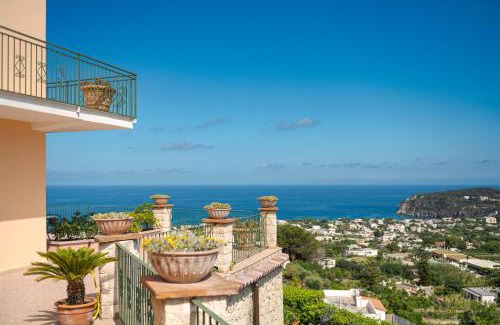 Forio Hotel | Poggio Del Sole