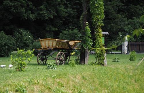 Skala House | Pokoje Gościnne Młyn Bosaka