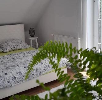 Myslakowice Apartment | Pokoje Gościnne u Marka