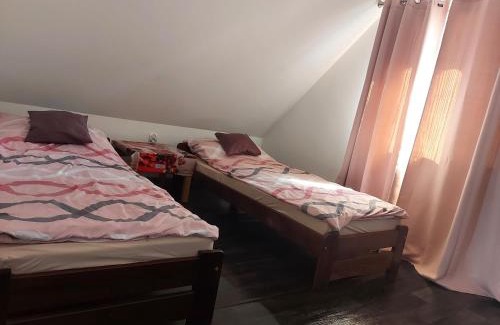 Suwalki Apartment | Pokoje u Joanny nad jeziorem Wigry