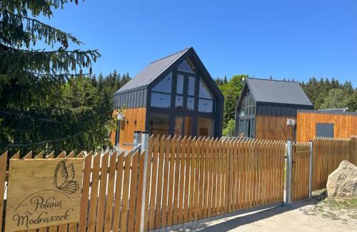 Lasowka House | Polana Modraszek