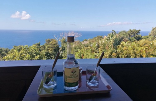 Vieux-Fort House | PomKouli Gîte - Racines e Zel Estate