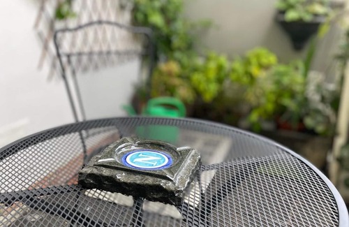 Mount Vesuvius - Pompei Apartment | Pompeii Duplex Deluxe Apartment