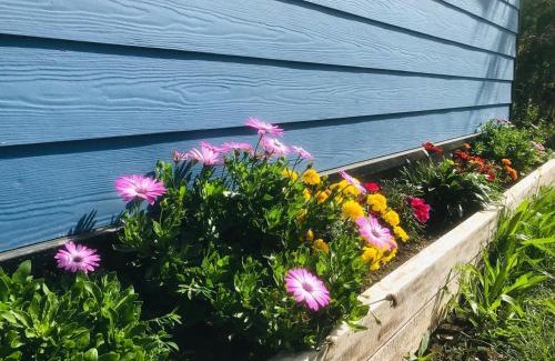 Villarrica House | Posada Alemana