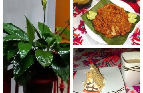 Xilitla House | Posada Familiar El Dorado