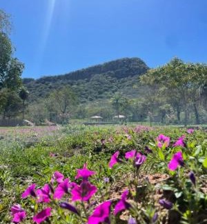 Paraguari Other | Posada San Miguel