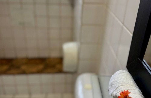 Pelourinho Hotel | POUSADA E HOSTEL CORES DO PELO