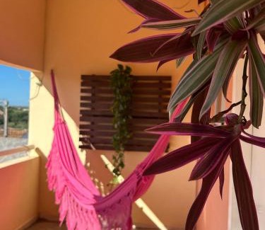 Pedro II Hotel | Pousada Neblina