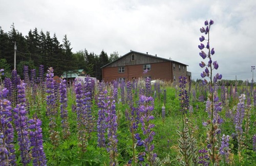 French River Cabin | Powley's Wild Goose Lodge