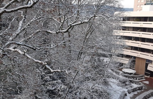 Franconville Apartment | Près des Sites des JO,