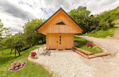 Kranj Apartment | Pr' Končovc