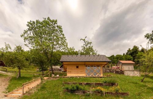 Kranj Apartment | Pr' Končovc