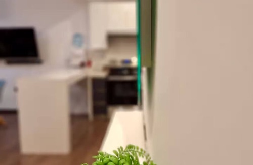 Zona 10 Apartment | Premium, Modern & Centrally Located Apartment in Zone 10 in Guatemala City!