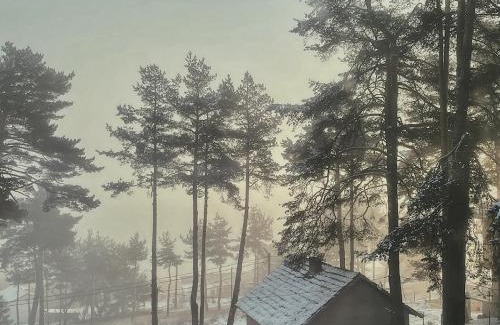 Tsigov Chark Apartment | Premium Studio Apartment in Private Villa Nisim