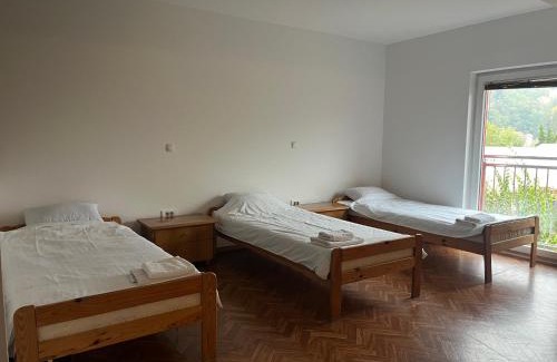 Krsko Hotel | Prenočišče Buco