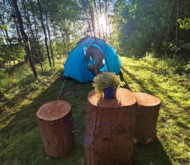 Stola Other | Pri potoku