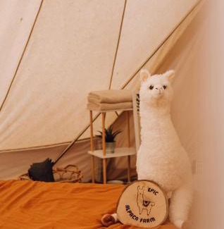 Hoogstraten Other | Privé Alpaca Glamping Hoogstraten
