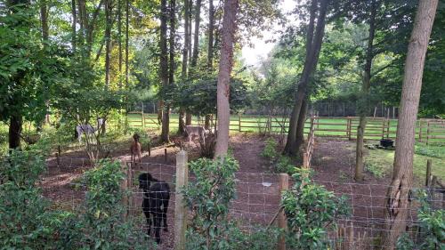 Assebroek Apartment | Privé studio in groene omgeving van Brugge fietsen & parkeerplaats inbegrepen